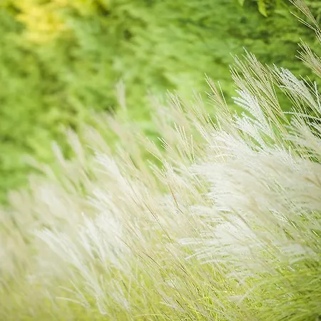 דירה Bosco Dell'impero Nettuno