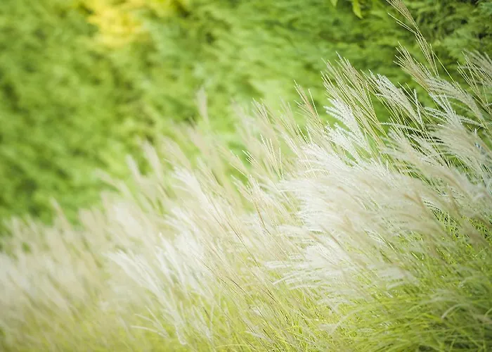 Διαμέρισμα Bosco Dell'impero Nettuno